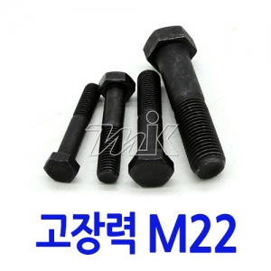 육각볼트-고장력C/R M22 (17771)