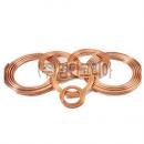 모세관 동코일(10034)