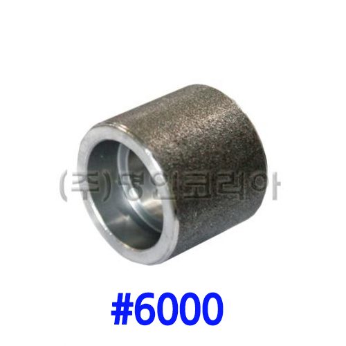 단조 용접레듀샤 철(A105)#6000(19698)