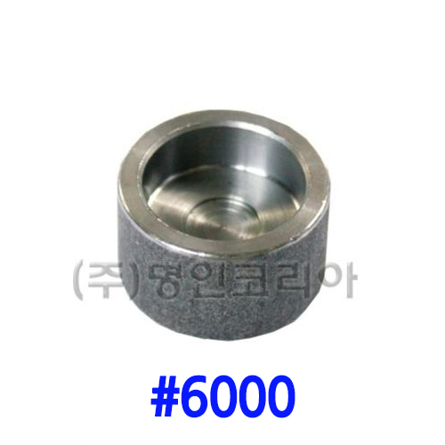 단조 용접캡 철(A105)#6000(19700)