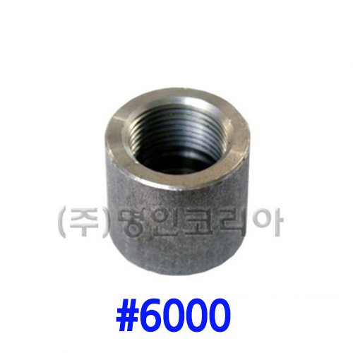 단조 나사캡 철(A105)#6000(19701)