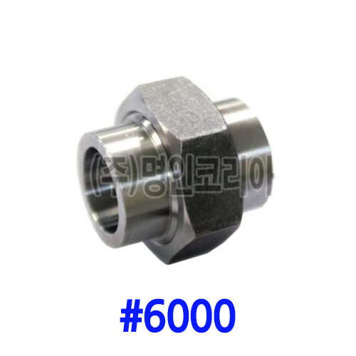 단조 용접유니온 철(A105)#6000(19703)