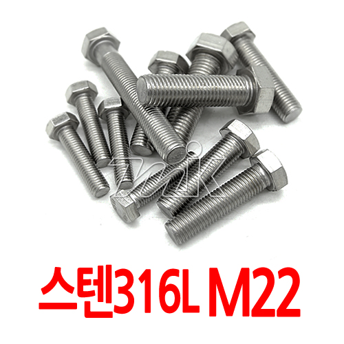 육각볼트(수입)-스텐316L M22 (25880)